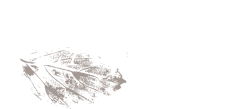 Hacienda Flandes